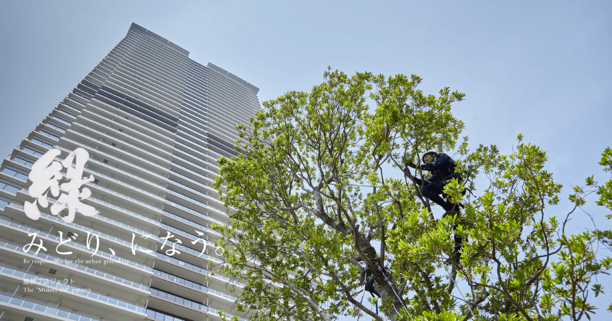 市川造園東京 緑師 Think The Green Job Project